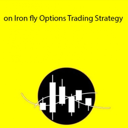 https://www.learnapps.net/masterclass-on-iron-fly-options-trading-strategy